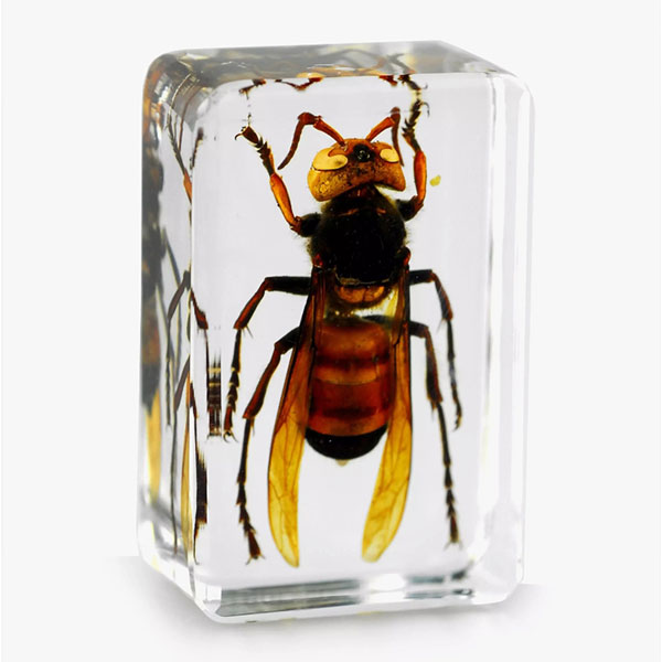 水晶膠和UV膠的區(qū)別：選對材料，才能做出理想效果